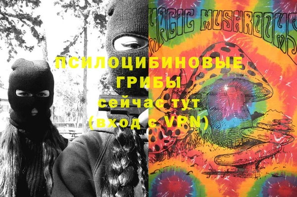 spice Ладушкин