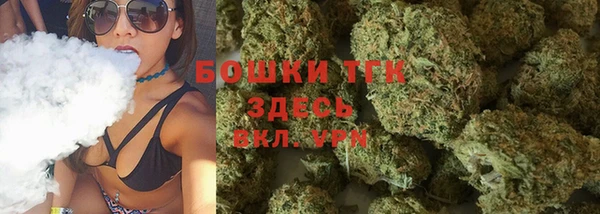 PSILOCYBIN Лагань