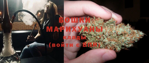 PSILOCYBIN Лагань