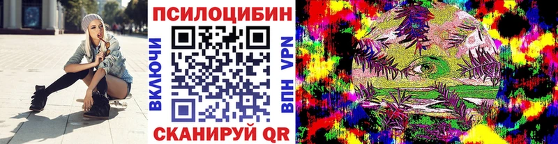 Псилоцибиновые грибы Psilocybe  OMG ONION  Малмыж 